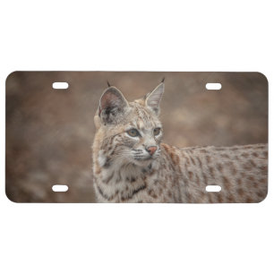 Portrait of a Bobcat License Plate