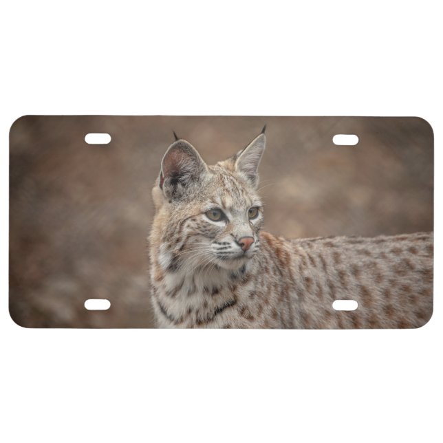 Portrait of a Bobcat License Plate (Front)