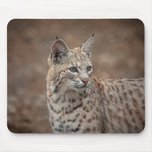 Portrait of a Bobcat Mouse Pad (Front)