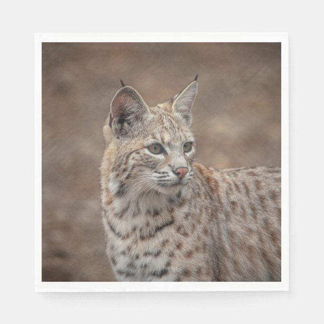 Portrait of a Bobcat Napkins (Front)
