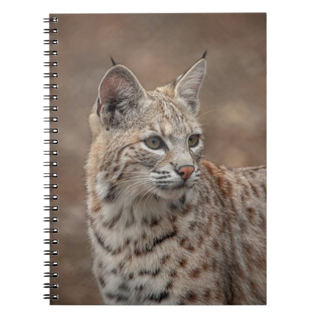 Portrait of a Bobcat Notebook (Front)