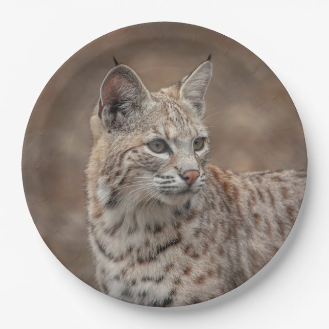 Portrait of a Bobcat Paper Plates (Front)