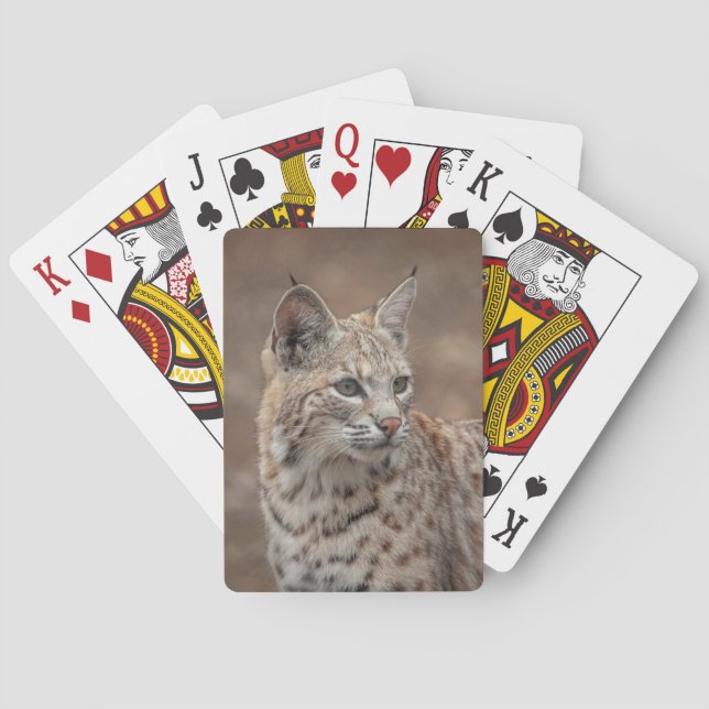 Portrait of a Bobcat Poker Cards (Back)