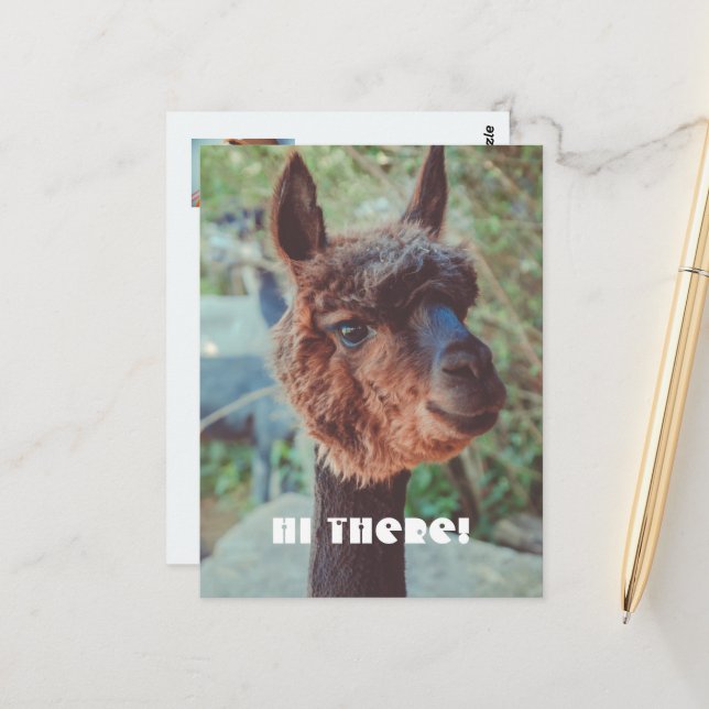 Portrait of a brown alpaca postcard (Front/Back In Situ)
