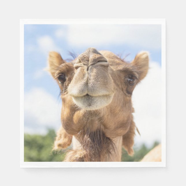 Portrait of a Camel Napkins (Front)