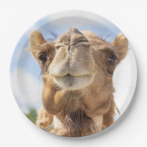 Portrait of a Camel Paper Plates