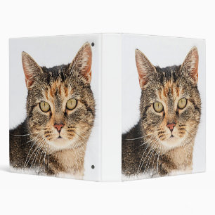 Portrait of a cat 3 ring binder