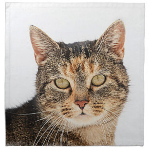 Portrait of a cat cloth napkin