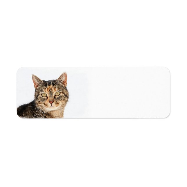 Portrait of a cat label (Front)
