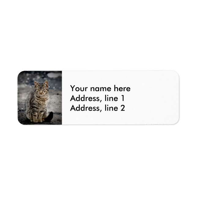 Portrait of a cat label (Front)
