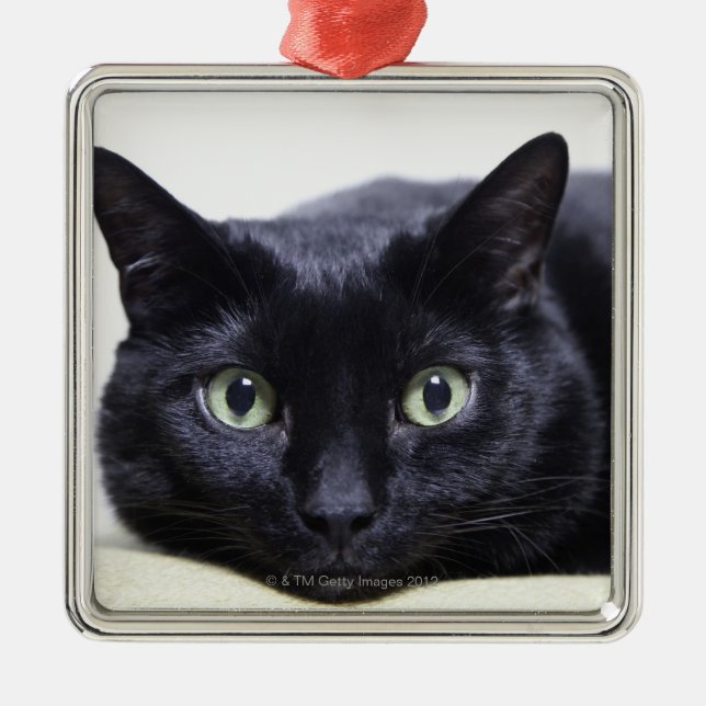 Portrait of a Cat Metal Ornament (Front)