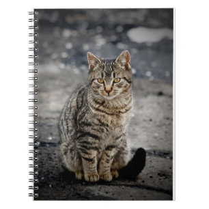 Portrait of a cat notebook
