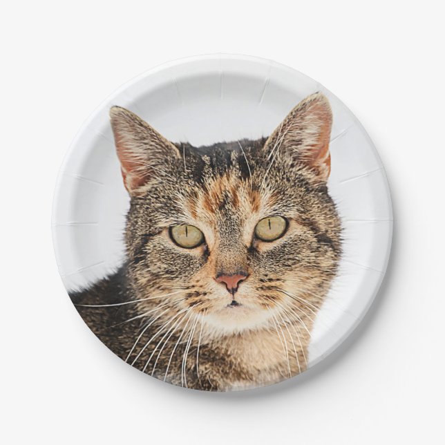 Portrait of a cat paper plates (Front)