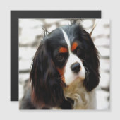 Portrait Of A Cavalier King Charles Spaniel (Front/Back)