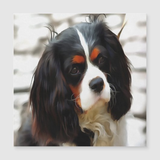 Portrait Of A Cavalier King Charles Spaniel (Front)