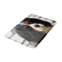 Portrait Of A Cavalier King Charles Spaniel