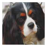 Portrait Of A Cavalier King Charles Spaniel