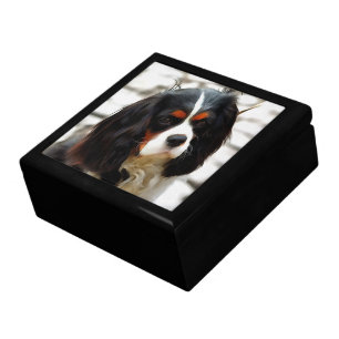 Portrait Of A Cavalier King Charles Spaniel Gift Box