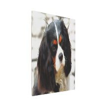 Portrait Of A Cavalier King Charles Spaniel