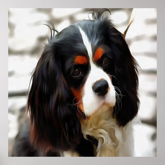 Portrait Of A Cavalier King Charles Spaniel Poster (Front)