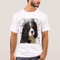 Portrait Of A Cavalier King Charles Spaniel