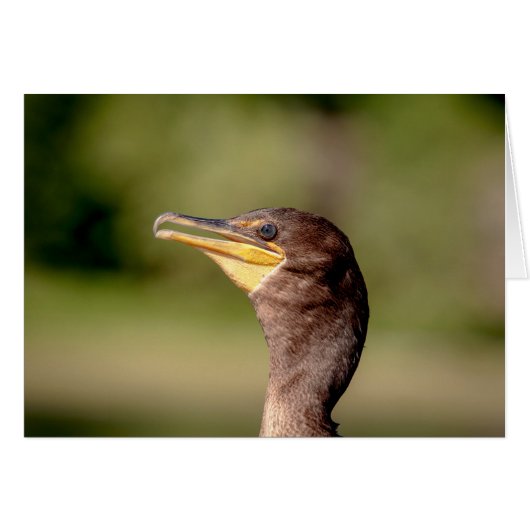 Portrait of a Cormorant Cards (Front Horizontal)
