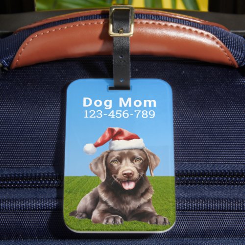 Portrait of a cute baby chocolate Labrador  Luggage Tag