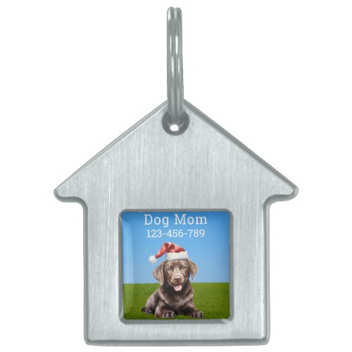 Portrait of a cute baby chocolate Labrador  Pet ID Tag