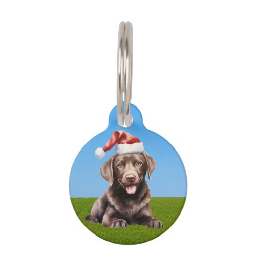 Portrait of a cute baby chocolate Labrador  Pet ID Tag