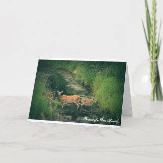Portrait of a Deer Family Card