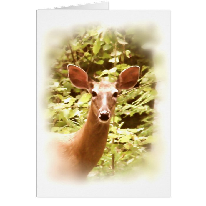 Portrait of a Deer Greeting Cards