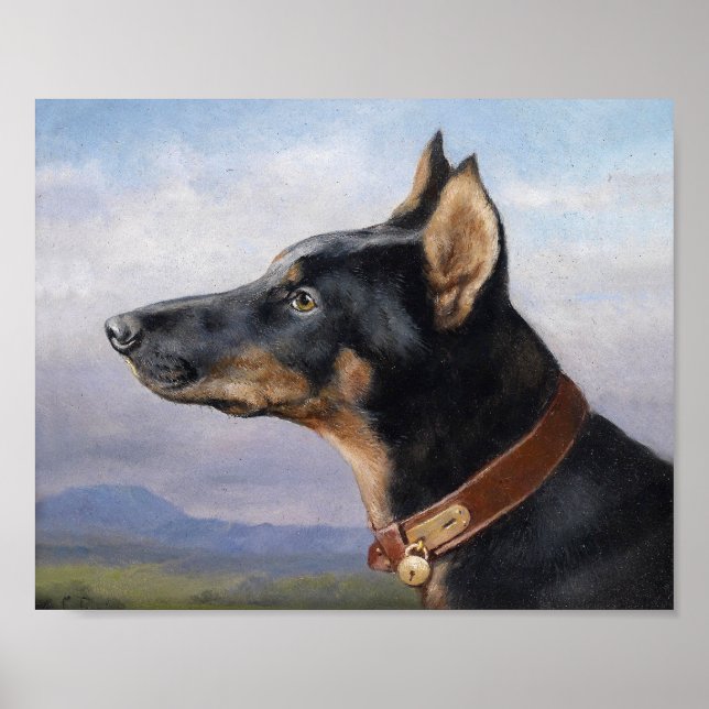 Portrait of a Doberman | Carl Reichert Poster | Zazzle