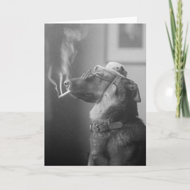 Portrait of a Dog, 1923 Card (Front)