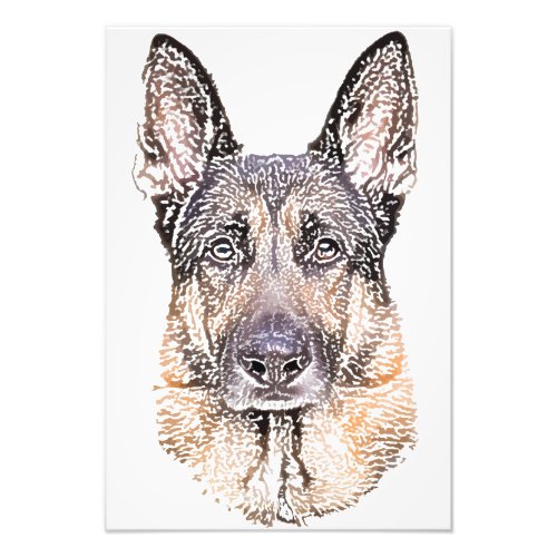 Portrait of a Dog German Shepherd Colored Sketch Photo Print