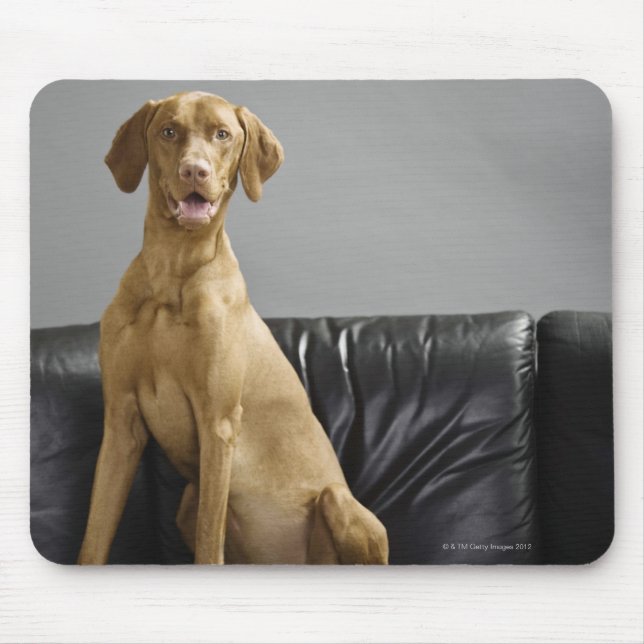 Portrait of a dog mouse pad (Front)
