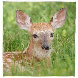 Portrait of a Fawn (white-tailed deer) Cloth Napkin