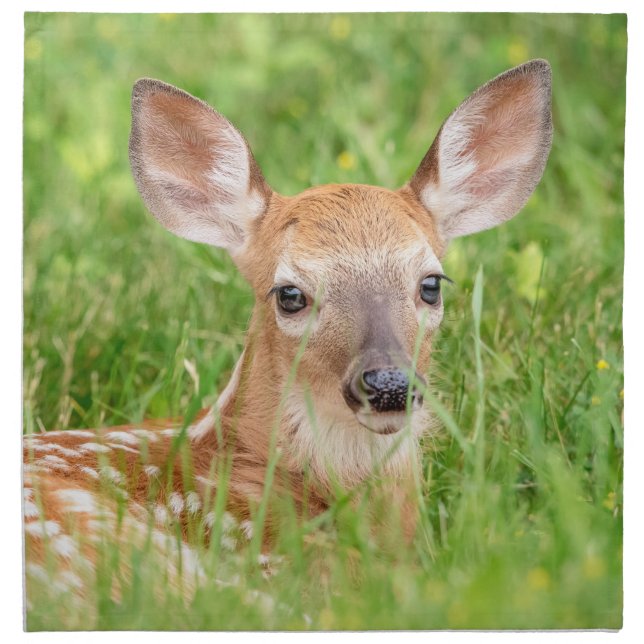 Portrait of a Fawn (white-tailed deer) Cloth Napkin (Front)