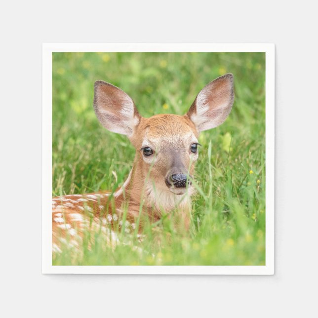 Portrait of a Fawn (white-tailed deer) Napkins (Front)