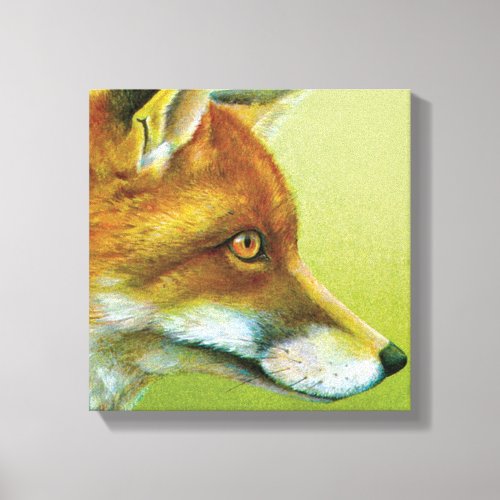 Portrait of a fox canvas print