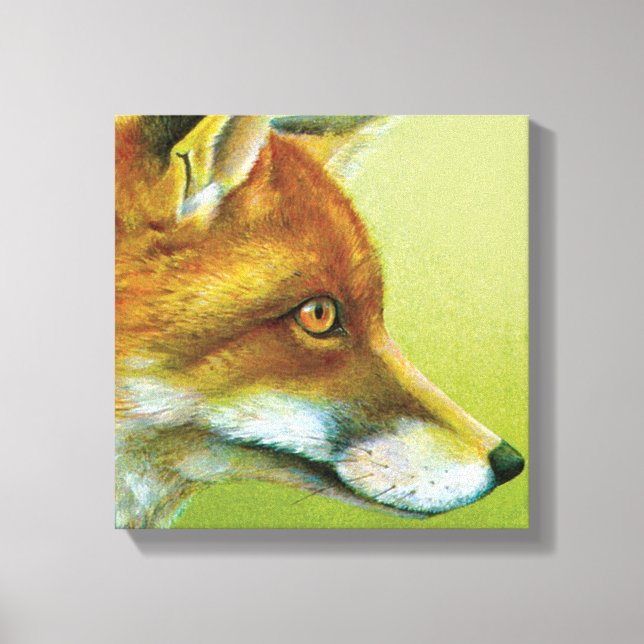 Portrait of a fox canvas print (Front)