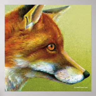 Portrait of a fox fine art poster print