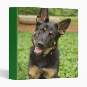 Portrait of a German Shepherd 3 Ring Binder