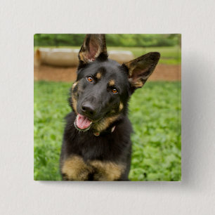 Portrait of a German Shepherd Button