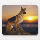 Portrait of a German Shepherd dog or Alsatian Mouse Pad<br><div class="desc">Portrait of a German Shepherd dog or alsatian at sunset.</div>
