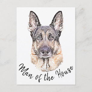 Portrait of a German Shepherd Dog Sketched Art Postcard