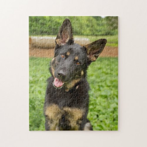 Portrait of a German Shepherd Jigsaw Puzzle