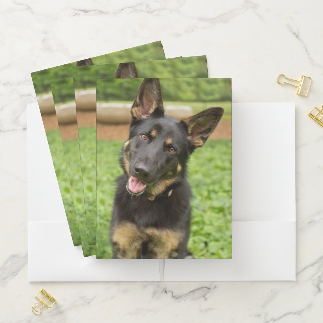 Portrait of a German Shepherd Pocket Folder (In Situ)