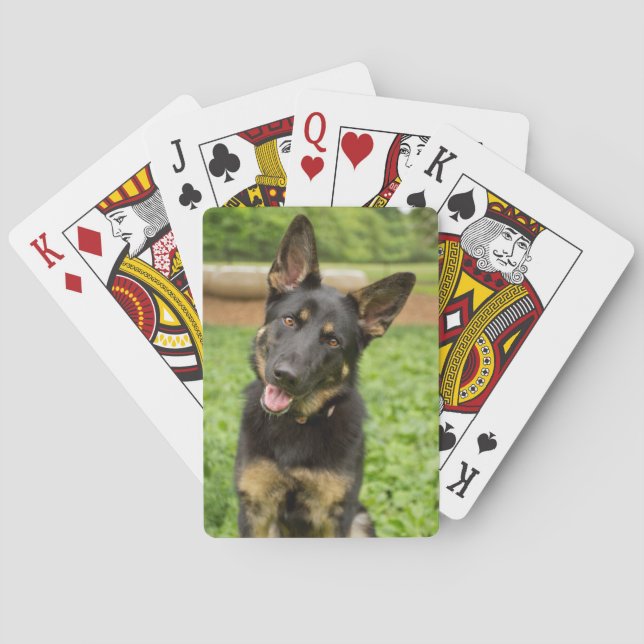 Portrait of a German Shepherd Poker Cards (Back)