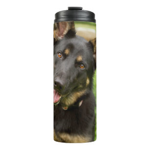 Portrait of a German Shepherd Thermal Tumbler