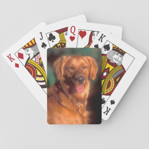 Portrait of a golden retriever playing cards